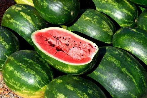 彩虹吃瓜视频大全最新,最新视频大全精彩回顾