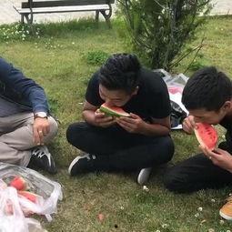 吃瓜视频大赛爆笑,爆笑视频盘点，笑料百出，欢乐无限！