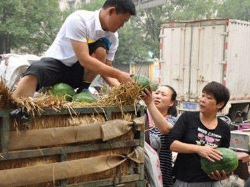 吃瓜小熊卖牛粪视频,一场另类农业直播秀