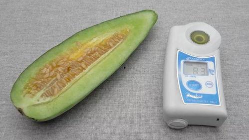 吃脆瓜不吐籽吗视频播放,揭秘不吐籽的秘密，轻松享受美味